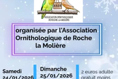 Exposition d&rsquo;oiseaux